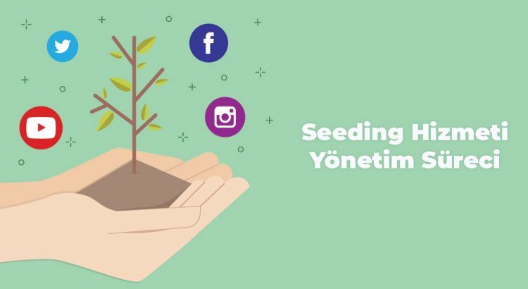 seeding hizmeti